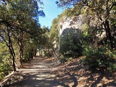 183 HYERES ET SES PALMIERS D03_000026